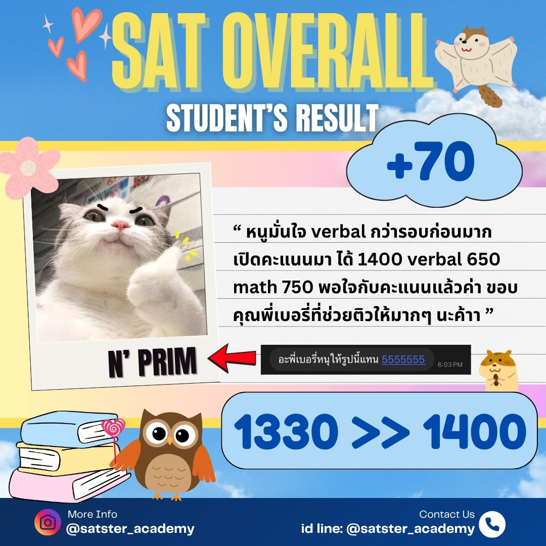 Review 19